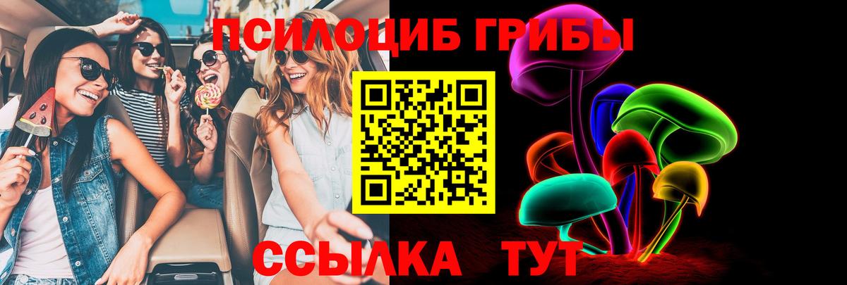 Псилоцибиновые грибы прущие грибы  Вход с VPN  Тимашёвск 
