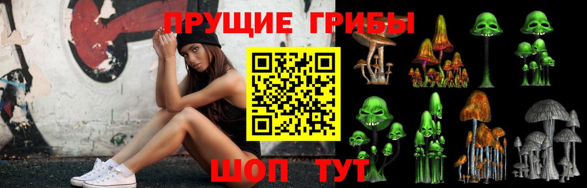 Псилоцибиновые грибы мухоморы Тимашёвск